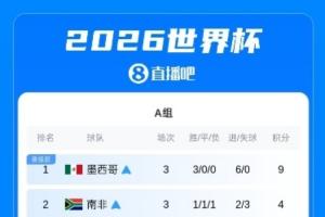 世界杯小组赛完整积分榜：巴德荷比西法阿英获得各自小组第一出线配图