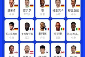 苦涩！拜仁17人出战本届世界杯，仅韩国球员金玟哉未能出线配图