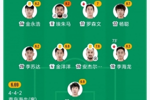 海牛安杰尔科维奇、金洋洋、金永浩均累计4黄,下轮战河南将停赛配图